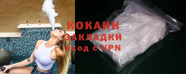 молекула духа Пересвет