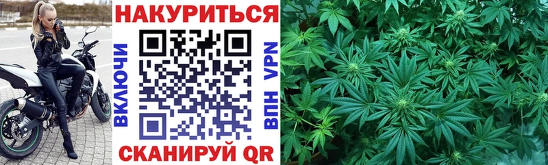 Купить закладки  Шенкурск  Шишки марихуана THC 21% 